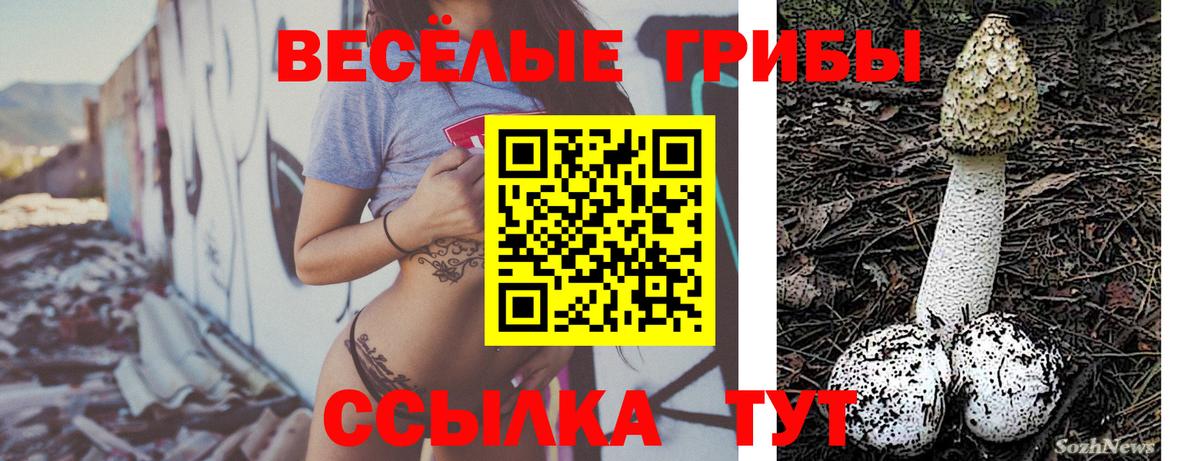 Гусев  Псилоцибиновые грибы мухоморы  дарнет шоп  Вход с VPN 