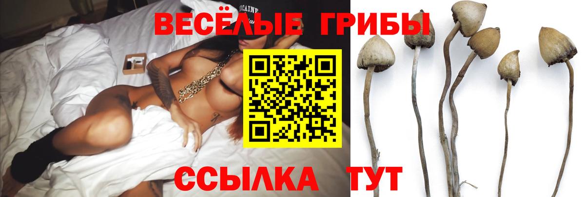 Псилоцибиновые грибы Cubensis Гусев